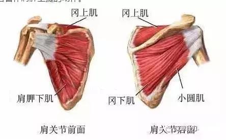 睡觉醒来手麻是什么原因和征兆,手麻的原因分析及简单评估