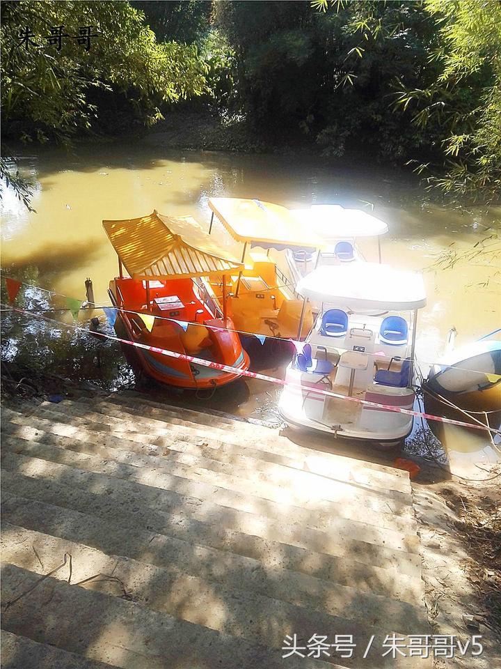 横县校椅镇马毕村茉莉庄园,广西横县茉莉庄园