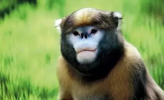 贵州方言笑死人的句子,贵州方言笑死人了