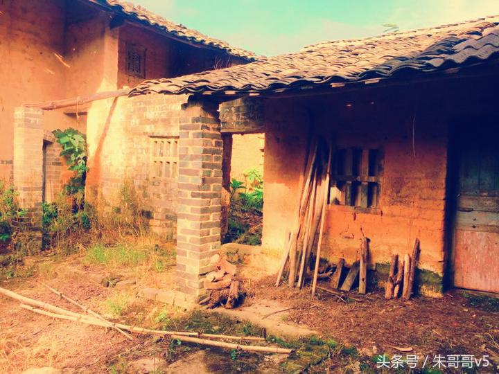 横县校椅镇马毕村茉莉庄园,广西横县茉莉庄园