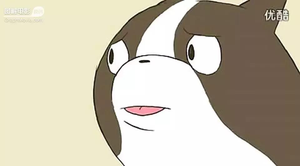 1分钟看完煎蛋饼养只狗狗来做饭狗版の田螺姑娘