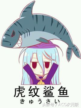 ACG趣谈:有些二次元黑话你以为大家都懂,结果并不是……尬聊