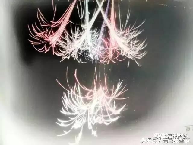 高邑今天的事,高邑那些事儿