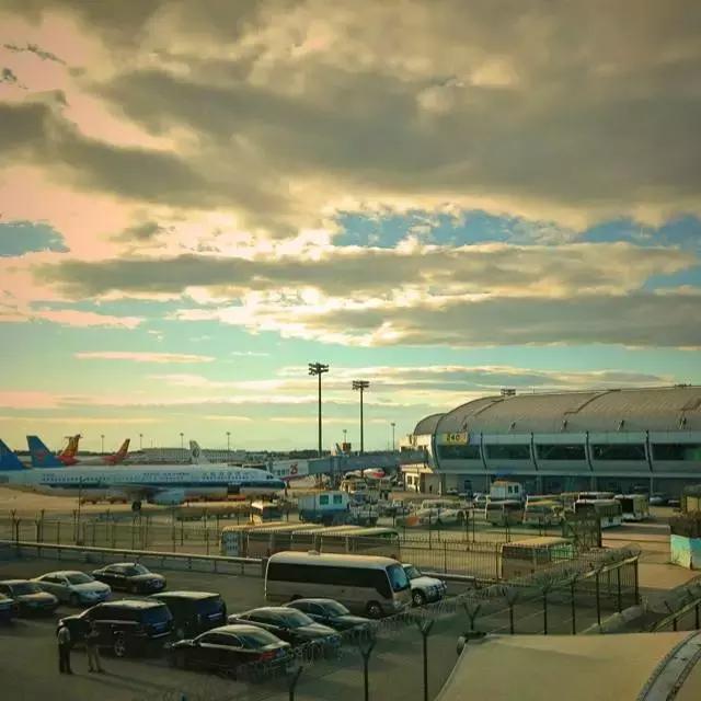 日本机场买什么最便宜,机场上有什么值得买的东西