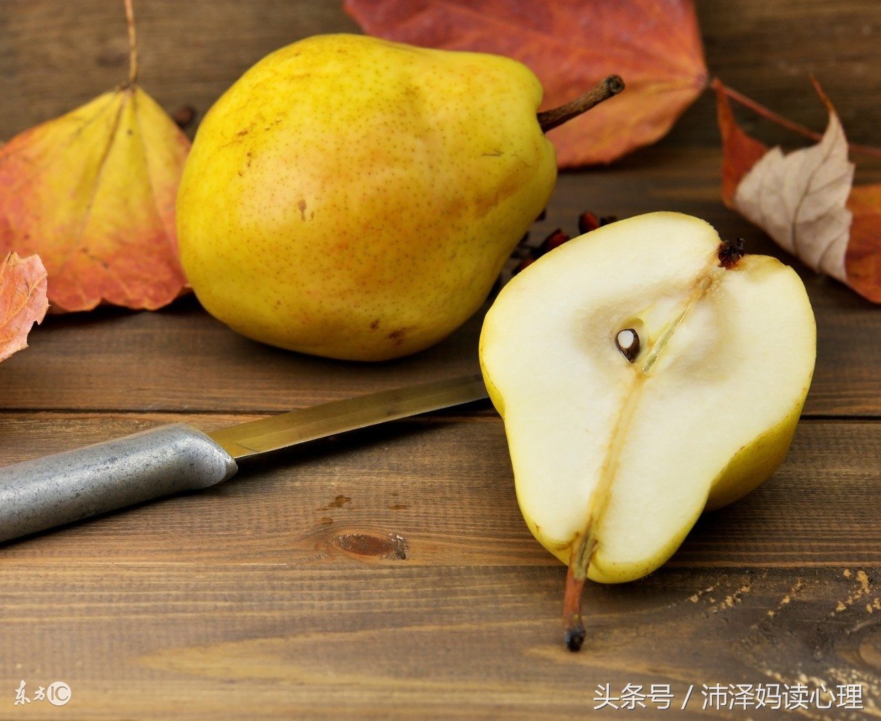 宝宝幼儿园有火吃点啥,孩子去幼儿园吃什么清火