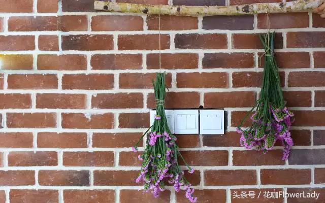 勿忘我如何打理最好,勿忘我怎么养才不会枯萎