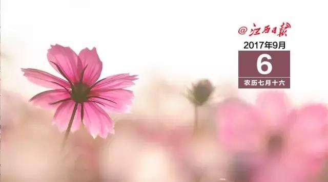 江西日报早新闻｜江西5县纳入国家小康用电示范县建设