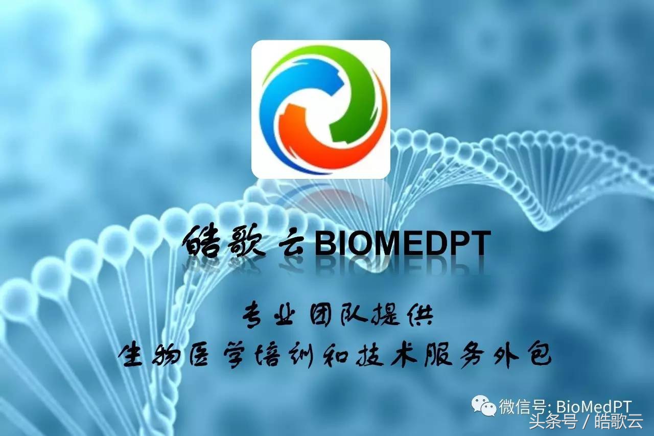 询问病情的英文表达方式,英语应该怎么询问病人情况