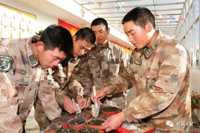 驻藏也能乐呵呵？为你解锁不一样的林芝军营