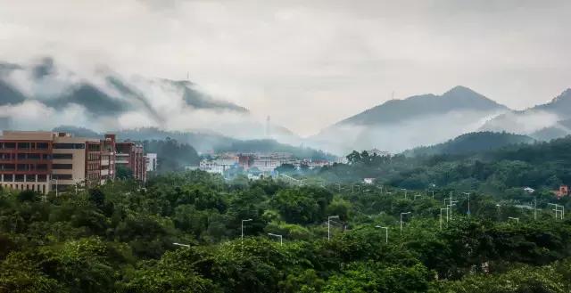 不愧为中山的生态保护区,镜头下的五桂山竟然这么美