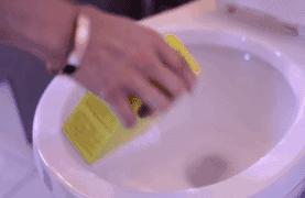 小苏打养花妙用可以用于多肉吗,免洗消毒液可以养花吗