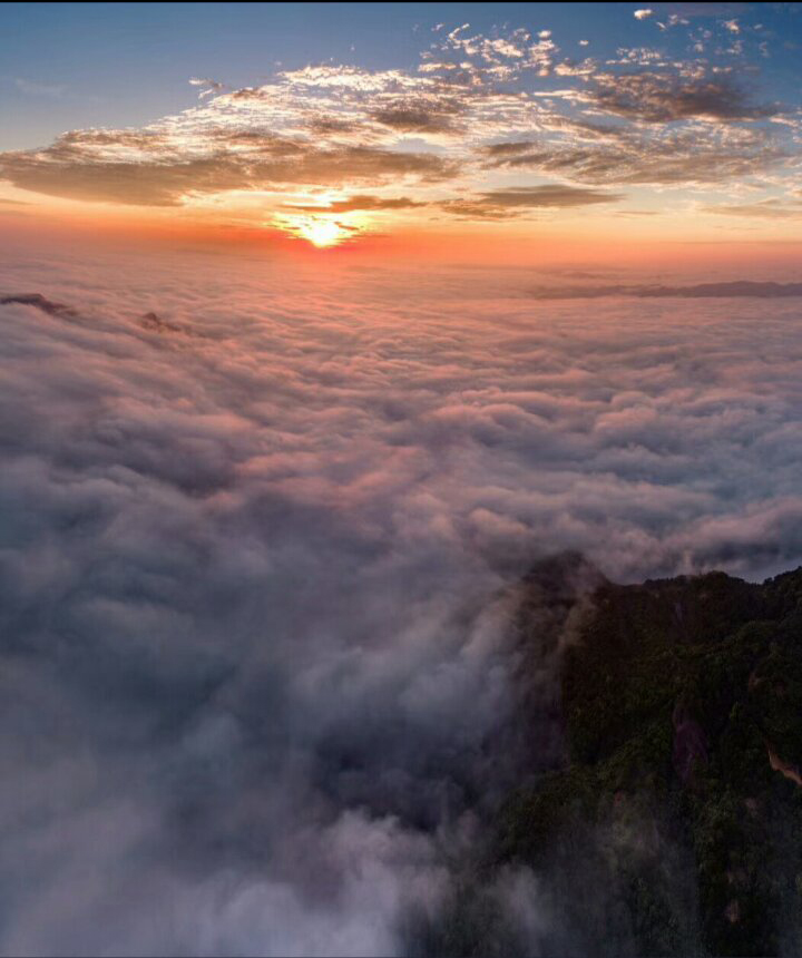 澶╀笅璞℃妫嬪瓙,澶╀笅璞℃妫嬭氨澶у叏