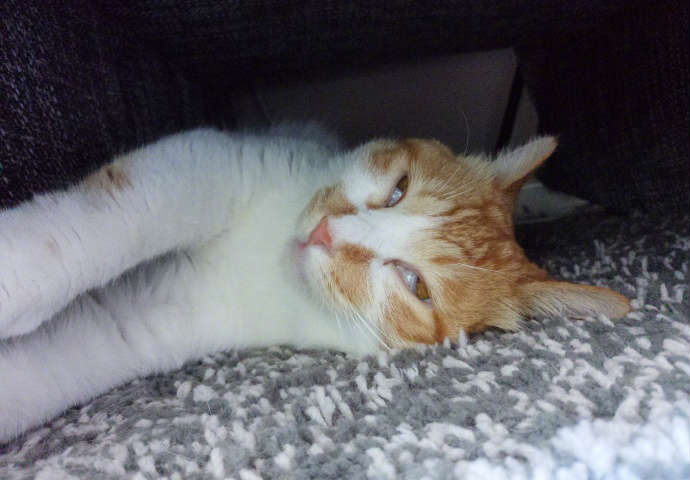 段子十则第四十六期,段子十则第十二集