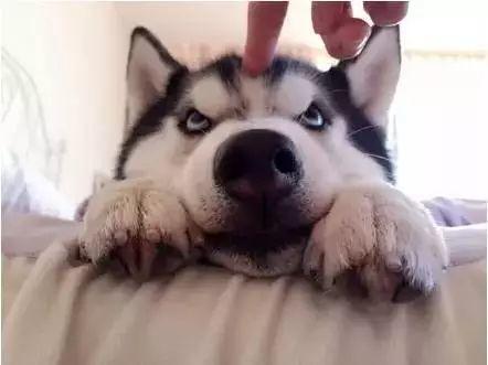 孩子说父母不配拥有优秀的孩子,10岁孩子吐槽父母不配