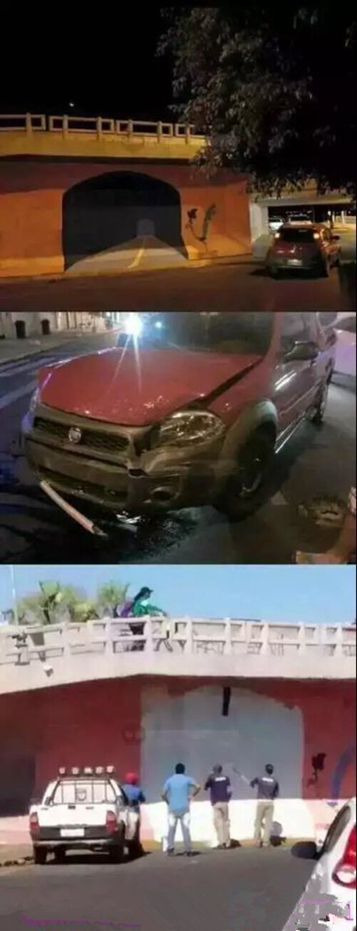 搞笑奇葩菌的图片,奇葩爆笑菌仙女下凡的搞笑瞬间