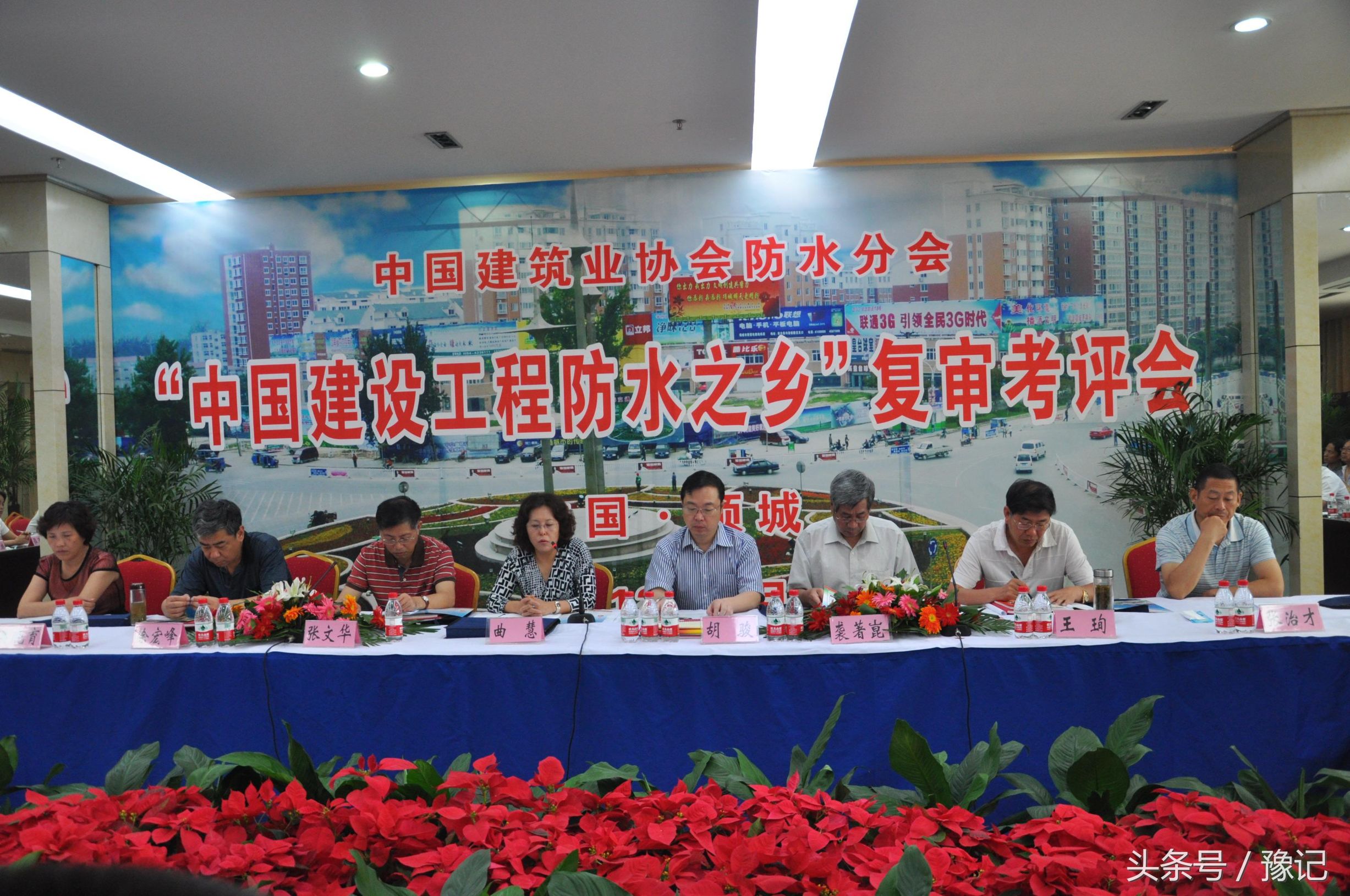 33万农民一年挣回400亿，项城人占领了中国三分之二的房顶