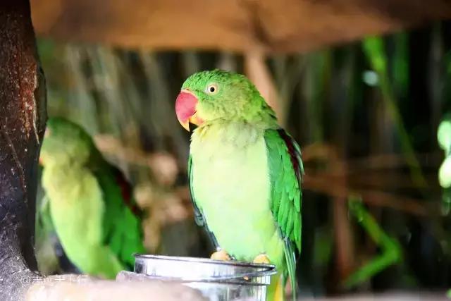 三亚合适小朋友玩的景区,儿童度假旅行三亚