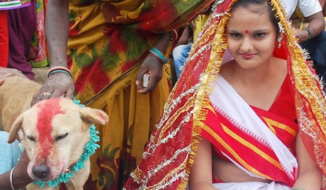 刷新你的三观夫妻,有人拿眼镜蛇当老婆