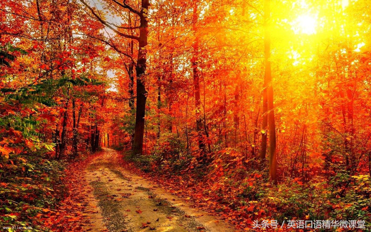描写秋天美丽的句子英文,有关秋天的英文表达方式