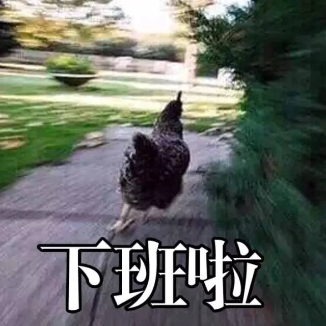 石家庄99%人的上班状态，最后一个说到心坎里了！