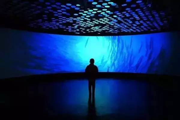 上海已婚一方非沪籍限购政策,上海户籍政策