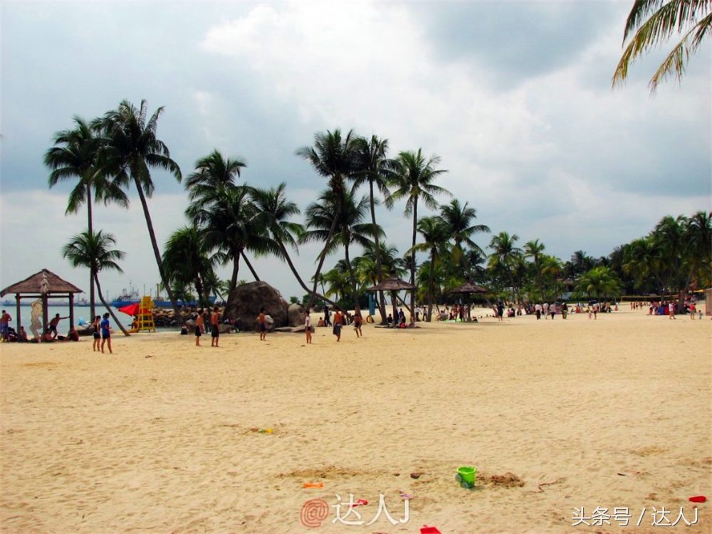 达人J:新马声色任逍遥