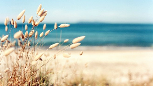 9月8日穿衣指南今日运势,9月7日穿衣指南今日运势