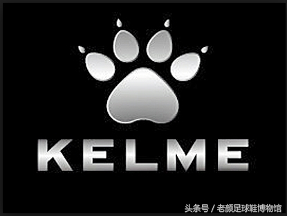 专业的足球鞋有哪几个品牌,曾经的足球鞋知名品牌有哪些