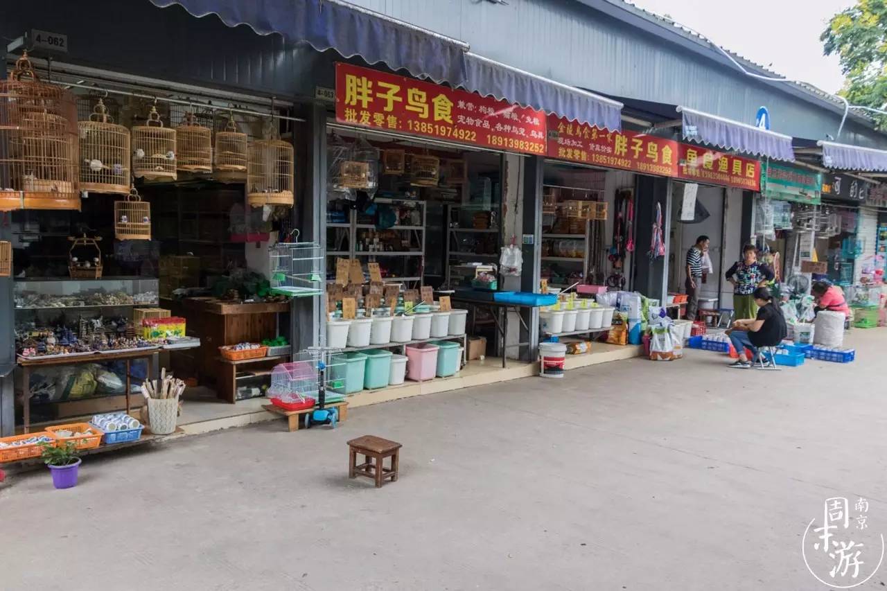 南京花鸟鱼虫市场,南京最大的花鸟虫市场