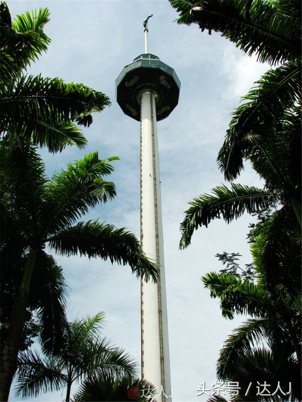 达人J:新马声色任逍遥