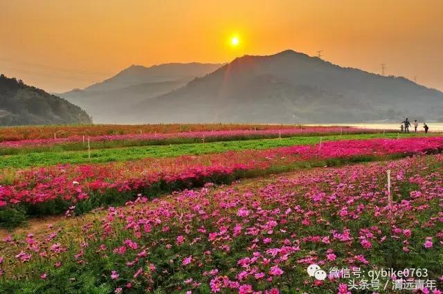 为什么要支持清远创文,各地为何都要创文