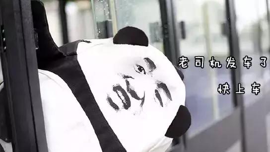 交通违章3019代码是什么罚款多少,违章编码怎么看扣几分