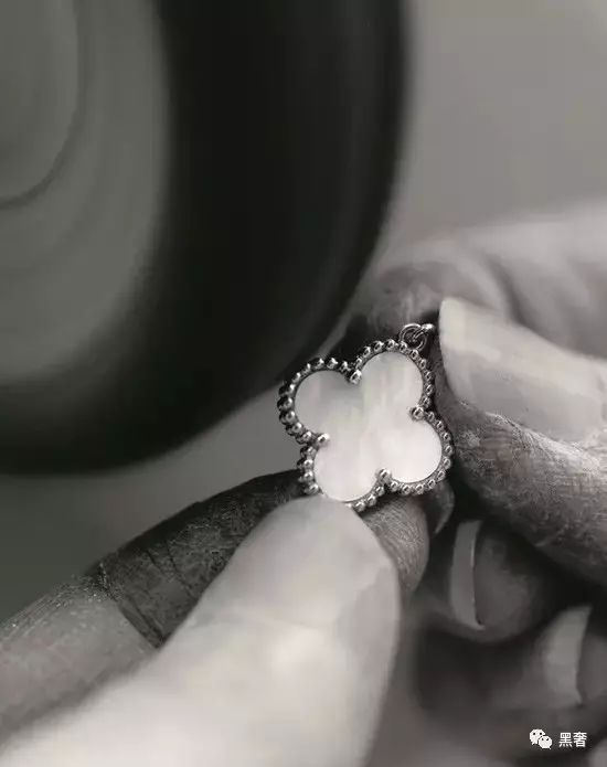 为什么这么多网红戴四叶草,被网红毁掉的植物