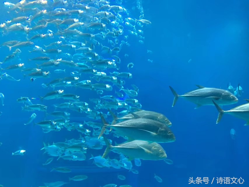 暑假带娃去部队看亲人,带娃去拉练