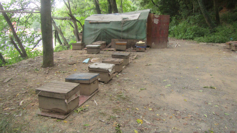 苏州西塘乌镇二日游团从杭州出发,苏州西塘乌镇二日一夜