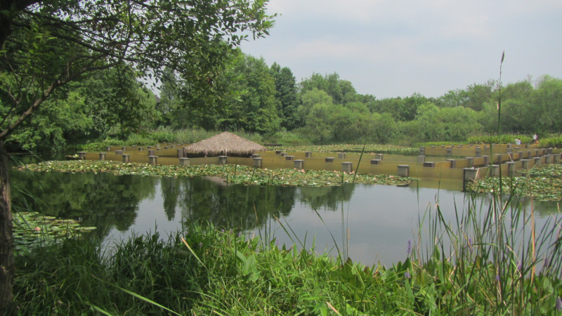 苏州西塘乌镇二日游团从杭州出发,苏州西塘乌镇二日一夜