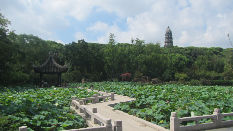 苏州西塘乌镇二日游团从杭州出发,苏州西塘乌镇二日一夜