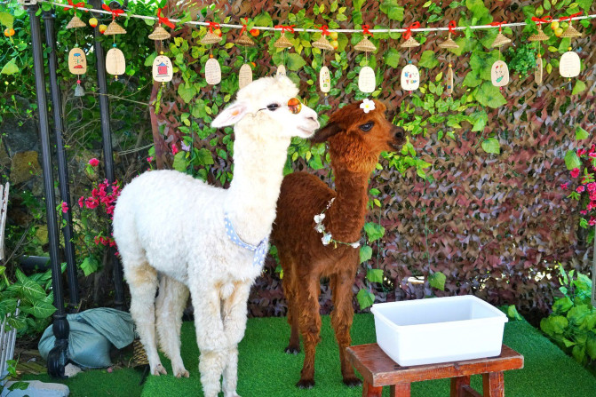 带着宝贝去旅行，遇见三亚遇见海