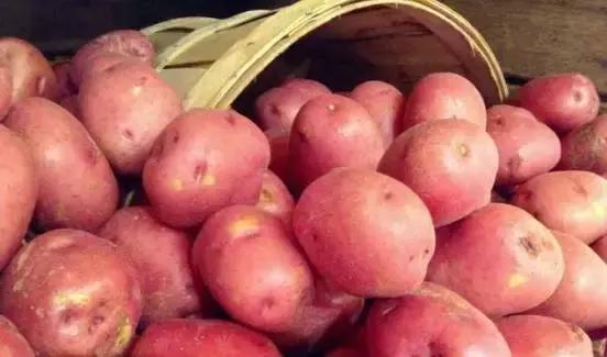 马桶冰块,马桶放冰块