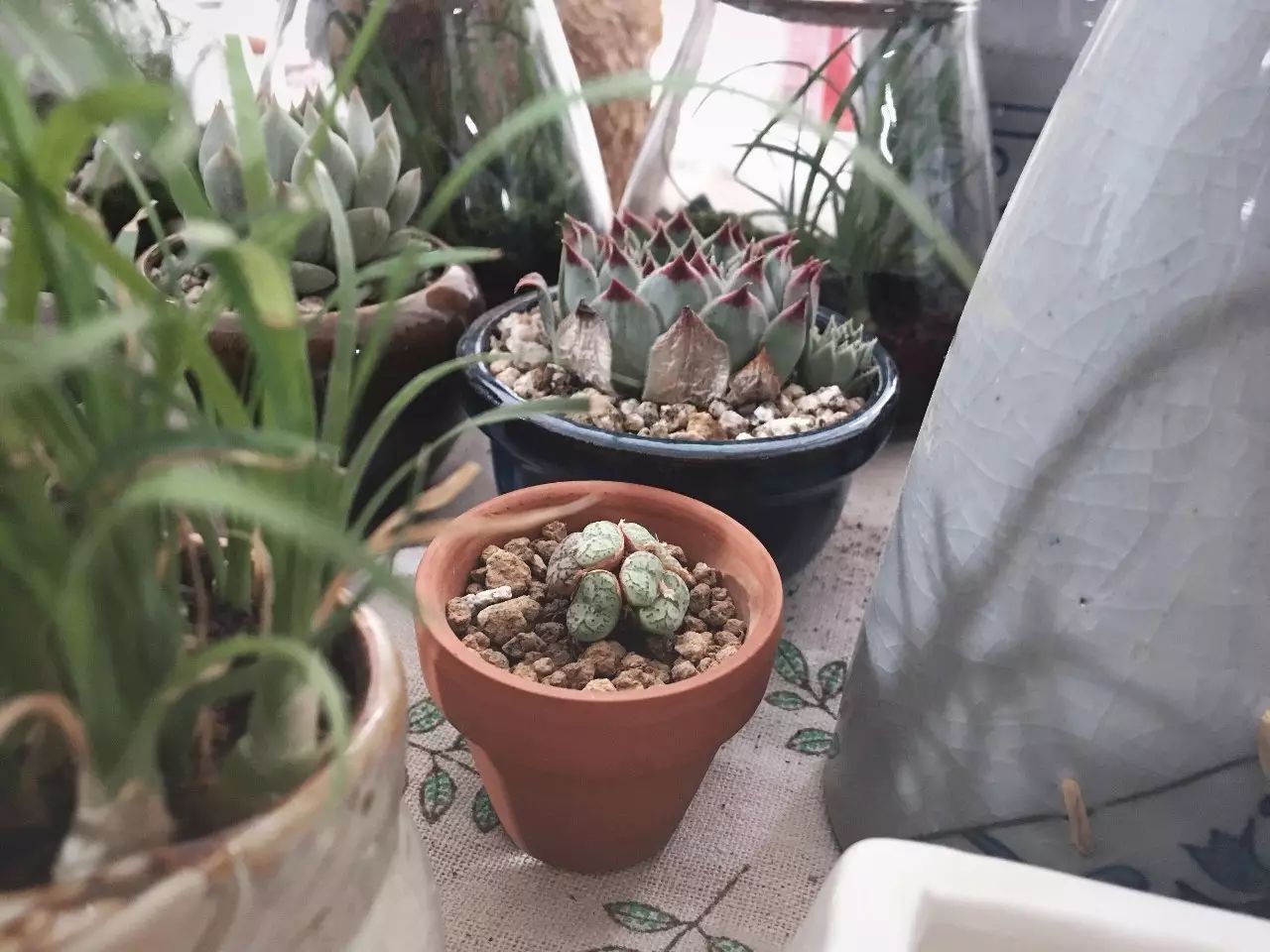 soho西区广告牌 (建外soho西区广告牌)