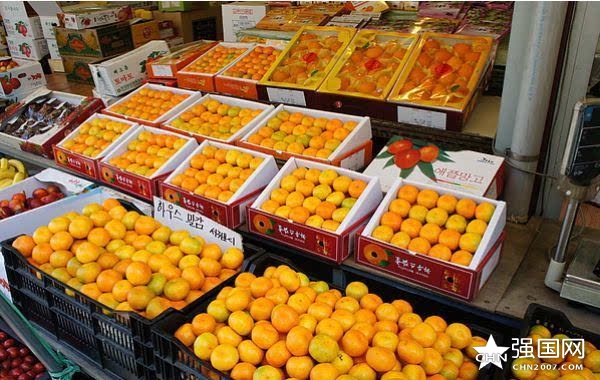 真实的韩国与韩剧的差距,别再被电视剧骗了ai还原