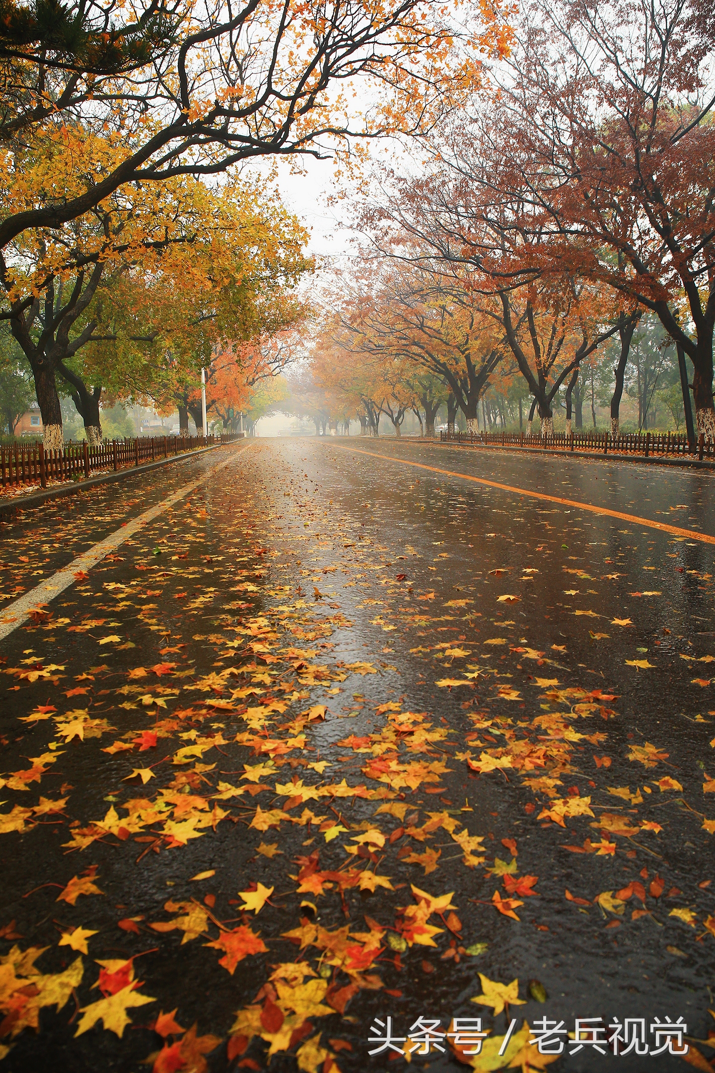 大连的秋天,大连附近秋天值得去的城市