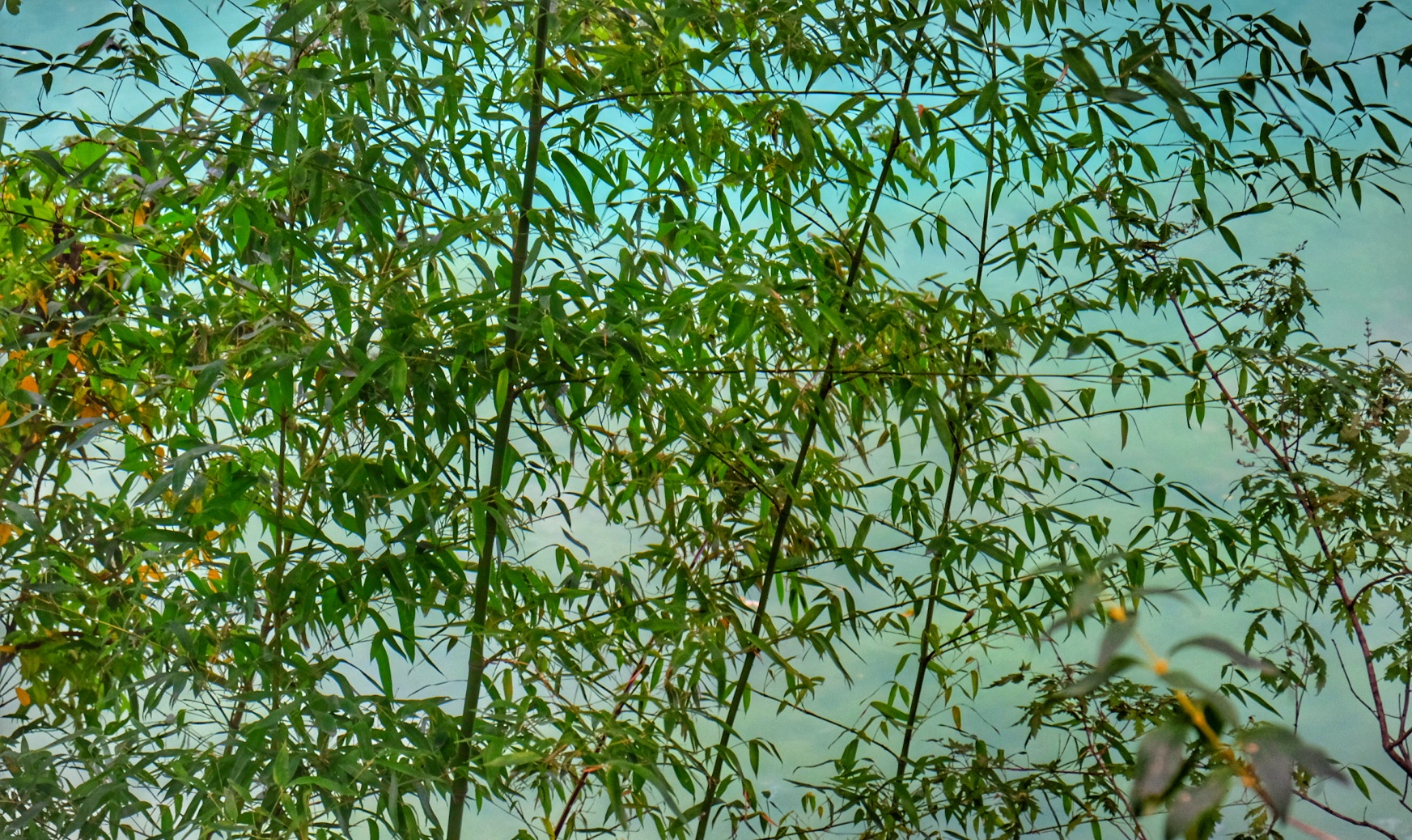 中太行山水精华之地——邢台云梦山