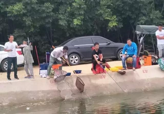 行营钓鱼节,行营钓具比赛视频