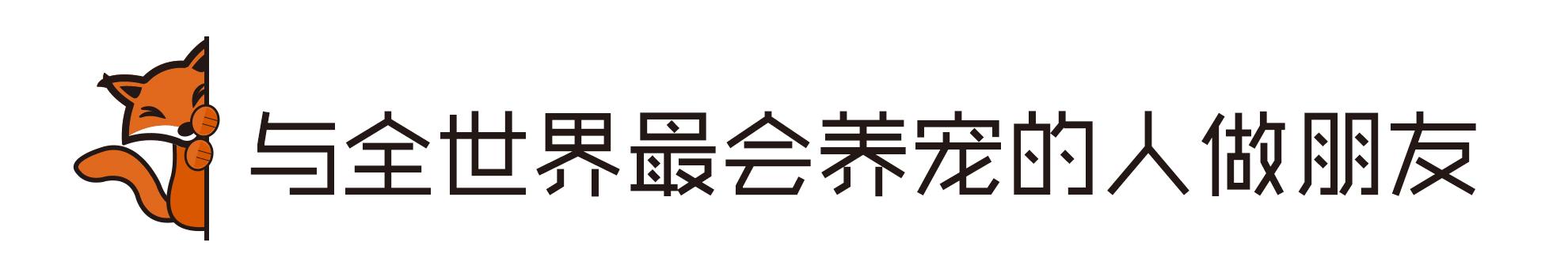 对猫咪真正有用的化毛产品,爱妖经