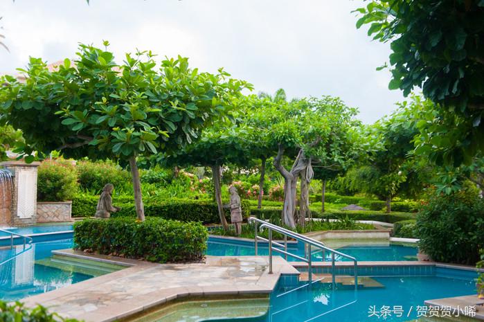 玄学大师香港李居明,李居明大师讲聚宝盆应该放啥