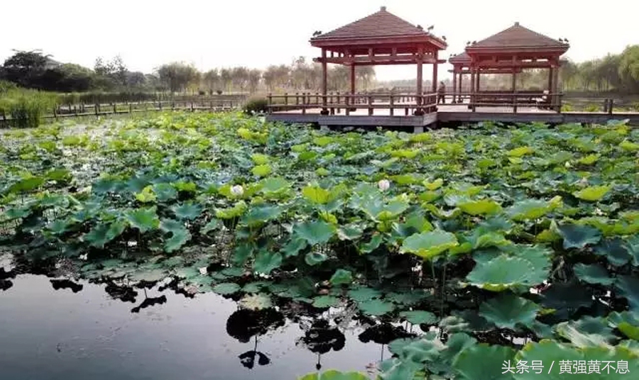 昆山市区旅游推荐,昆山旅游去哪里比较好
