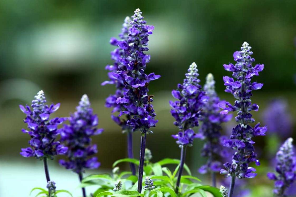 女人最喜欢男人的8种行为,女人最喜欢的四种男人