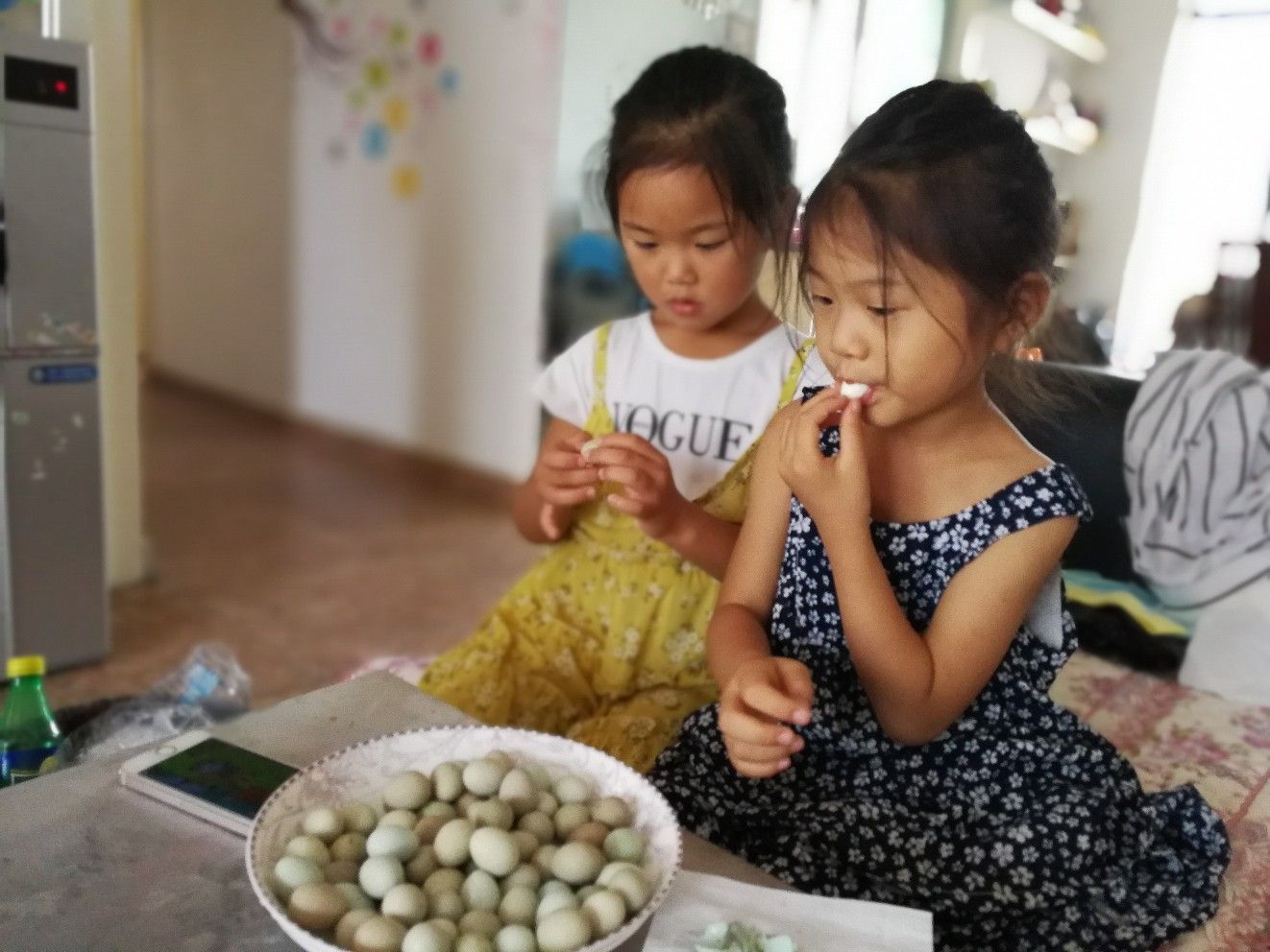 芦丁鸡蛋孵化剥壳,芦丁鸟蛋
