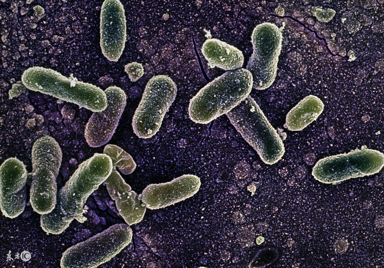 捂馊了的毛巾如何处理,如何让毛巾不掉毛